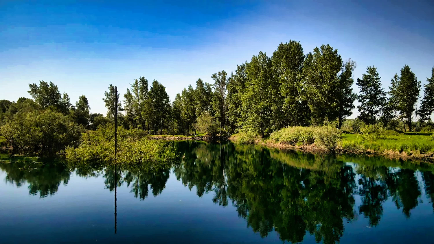 Прокат сапборда